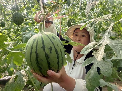 邳州网红吃小瓜事件,引发网友热议与反思