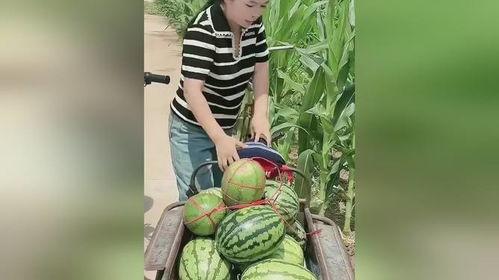 邳州网红吃小瓜事件,引发网友热议与反思 第3张 邳州网红吃小瓜事件,引发网友热议与反思 第3张