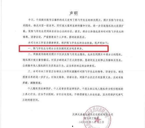 陈飞爆料视频大全集下载,揭秘幕后真相，深度解析事件始末