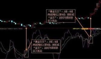上海kdj最新爆料,揭秘行业动态与未来趋势