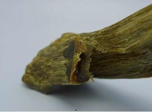 沉香吃瓜爆料视频大全,沉香吃瓜爆料视频大全精彩回顾  第2张