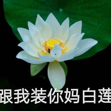 吃瓜网红八卦图,吃瓜图背后的惊人真相 第1张 吃瓜网红八卦图,吃瓜图背后的惊人真相 第1张