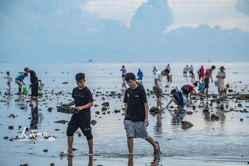 海南赶海爆料事件始末视频,揭秘始末与公众反响 第2张 海南赶海爆料事件始末视频,揭秘始末与公众反响 第2张