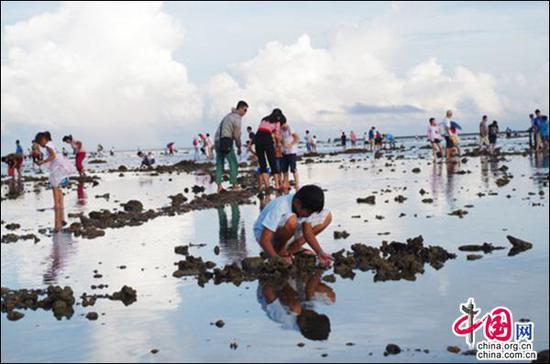海南赶海爆料事件始末视频,揭秘始末与公众反响 第3张 海南赶海爆料事件始末视频,揭秘始末与公众反响 第3张