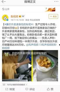料理猫爆料视频播放网站,热门视频播放网站幕后故事