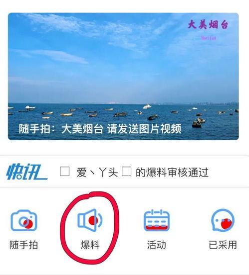 搜索小程序爆料视频,最新爆料视频深度解析  第2张