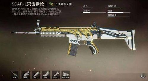 m416最新皮肤爆料和平精英,和平精英再掀潮流风潮！  第3张