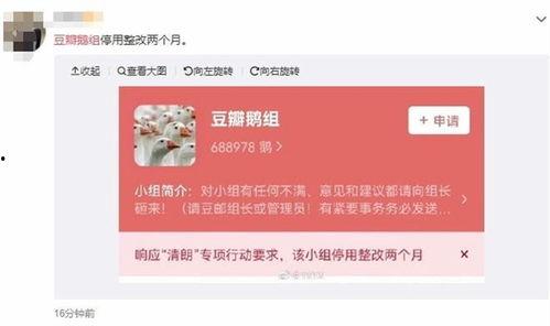 八卦爆料最新网站,揭秘最新网站幕后真相，独家揭秘！