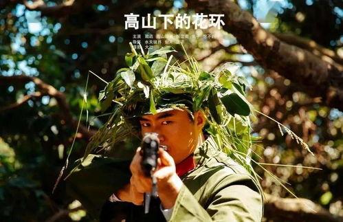 高山上的花环在线观看,一场壮美山景下的感人故事