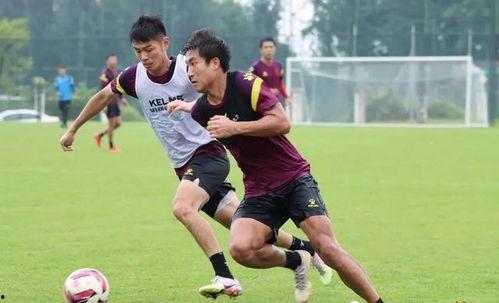 王晓龙最新爆料新闻,揭秘娱乐圈惊人内幕 第3张 王晓龙最新爆料新闻,揭秘娱乐圈惊人内幕 第3张