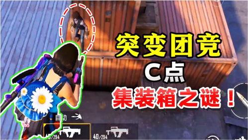 鸡哥最新爆料视频下载,揭秘娱乐圈惊人内幕! 第2张 鸡哥最新爆料视频下载,揭秘娱乐圈惊人内幕! 第2张