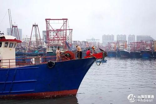 爆料渔船视频播放大全最新,海上捕捞瞬间大盘点  第3张
