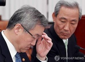 韩国外交官爆料新闻视频,揭秘新闻视频背后的真相