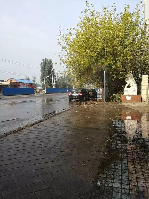 新华大道最新爆料,最新爆料揭秘未来繁华景象” 第3张 新华大道最新爆料,最新爆料揭秘未来繁华景象” 第3张