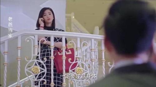 女婿当家在线观看,家庭风云再起,新女婿挑战传统观念 第3张 女婿当家在线观看,家庭风云再起,新女婿挑战传统观念 第3张