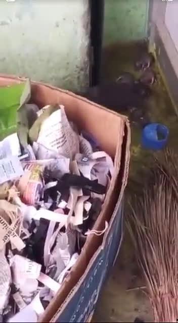 最新老鼠爆料新闻视频播放,揭秘娱乐圈惊人内幕  第3张