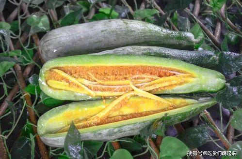 金乡网红吃瓜,揭秘幕后故事与热门话题 第3张 金乡网红吃瓜,揭秘幕后故事与热门话题 第3张