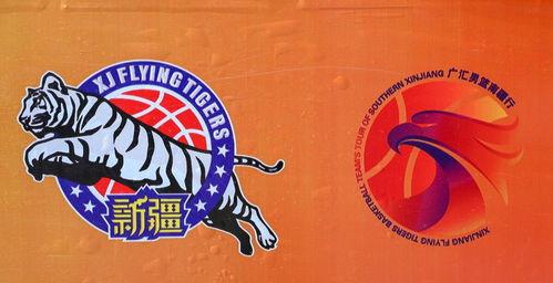 媒体人爆料周琦视频,揭秘篮球天才的日常训练与心路历程