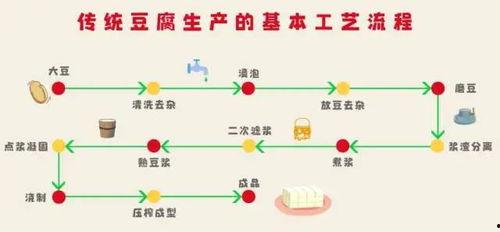 土豆豆爆料科普知识视频,科普知识视频中的趣味科学  第2张
