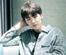 刘宇宁爆料的狗崽视频,真相与争议  第1张