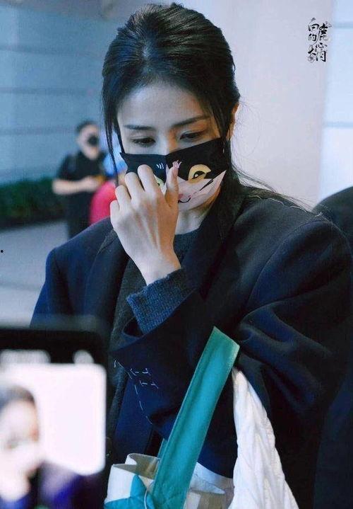 刘宇宁爆料的狗崽视频,真相与争议  第3张