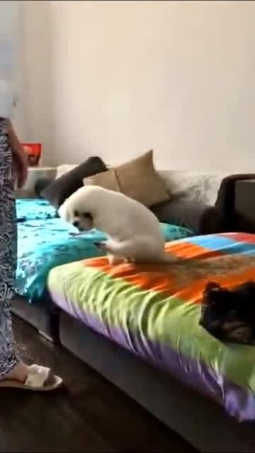 爆料沙发搞笑视频大全高清,搞笑视频大全,高清笑料一网打尽! 第2张 爆料沙发搞笑视频大全高清,搞笑视频大全,高清笑料一网打尽! 第2张