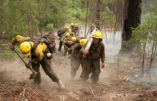 云南爆料野外消防事件视频,紧急救援瞬间曝光 第2张 云南爆料野外消防事件视频,紧急救援瞬间曝光 第2张