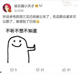 卓伟早期爆料视频播放,揭秘娱乐圈幕后真相 第3张 卓伟早期爆料视频播放,揭秘娱乐圈幕后真相 第3张