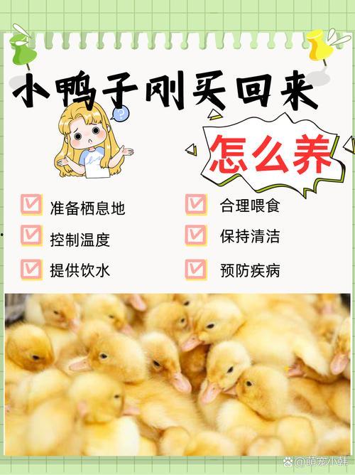 爆料鸭子吃药视频在线观看,网络热传鸭子吃药视频背后的真相