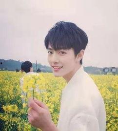 杨紫肖战最新大爆料,幕后故事大公开 第3张 杨紫肖战最新大爆料,幕后故事大公开 第3张