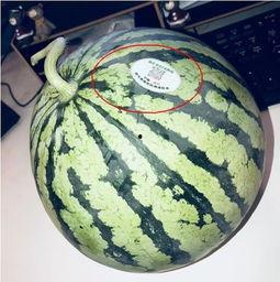 免费吃瓜网红群 第2张 免费吃瓜网红群 第2张