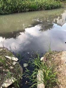 最新的风景爆料,最新风景爆料，带你领略绝美风光