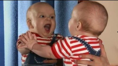 宝宝镜子爆料视频下载,揭秘娱乐圈幕后真相