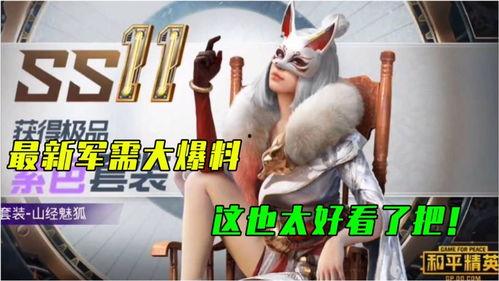 最新军需爆料新闻视频,军需爆料视频深度解析  第2张