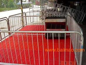 成都养猪场爆料视频,揭秘养殖场内幕 第3张 成都养猪场爆料视频,揭秘养殖场内幕 第3张