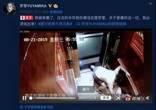 网红家庭爆料视频大全最新,揭秘幕后生活真相 第3张 网红家庭爆料视频大全最新,揭秘幕后生活真相 第3张