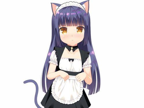 新角色爆料猫娘视频,视频爆料引网友热议 第2张 新角色爆料猫娘视频,视频爆料引网友热议 第2张