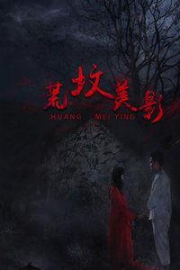 荒坟恋影在线观看,穿越时空的生死之恋